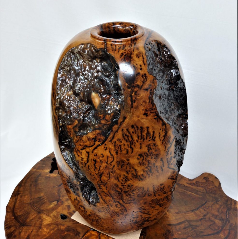 屋久杉の泡こぶの壺ツボ世界自然遺産銘木